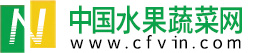 中国蔬菜水果网